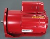 Armstrong Pump Motor 811757-007